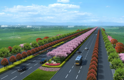 新機場大道景觀綠化工程正式開工，打造城市生態迎賓新走廊
