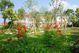 雅色村綠化工程竣工 生態(tài)畫(huà)卷添新景，高清美圖共賞時(shí)